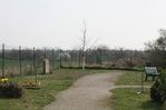 Grabstein auf dem Friedhof in Böhlitz-Ehrenberg (GfZL / Lena Weber, 2022)